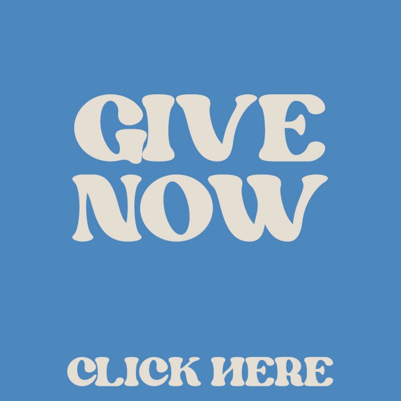 Navigate - Give Now
