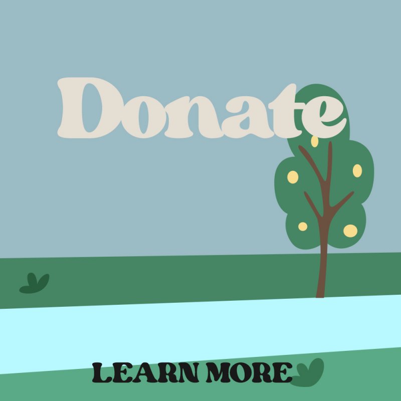 Donate to Navigate