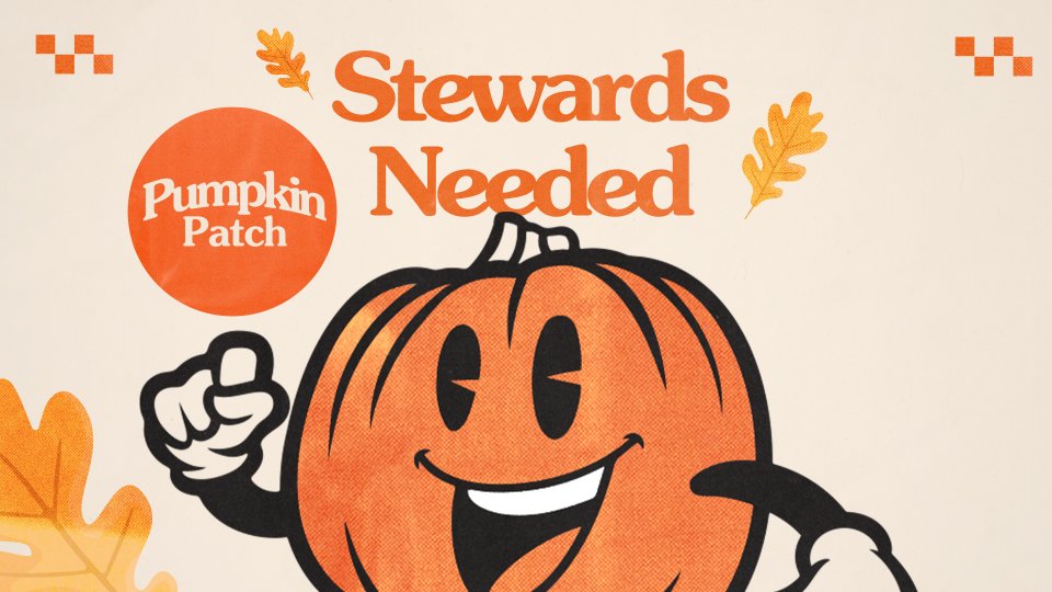 PUMPKIN-PATCH-STEWARDSWEBSITE